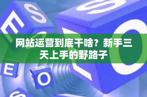 网站运营到底干啥？新手三天上手的野路子